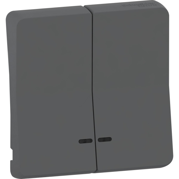 Enjoliveur double gris Schneider Mureva Styl pour voyant lumineux IP55 IK08