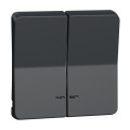 Enjoliveur double gris Schneider Mureva Styl pour voyant lumineux IP55 IK08