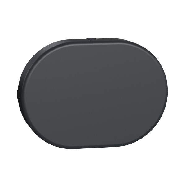 Schneider Mureva styl obturateur pour trou de fixation - ip55 - ik07 - gris