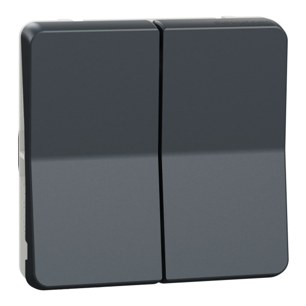 Double va-et-vient gris Schneider Mureva Styl connexion automatique IP55 IK08