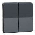 Double va-et-vient gris Schneider Mureva Styl connexion automatique IP55 IK08