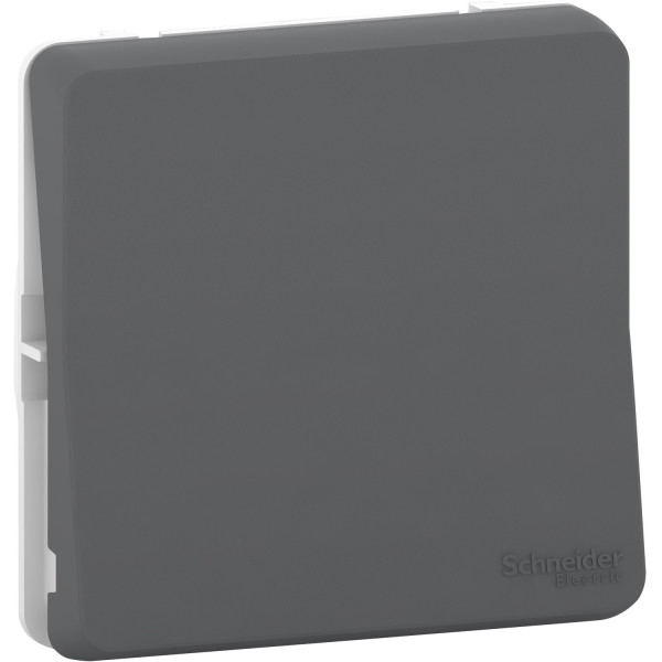 Schneider Mureva styl Permutateur - composable - IP55 - IK08 - connexion auto - gris