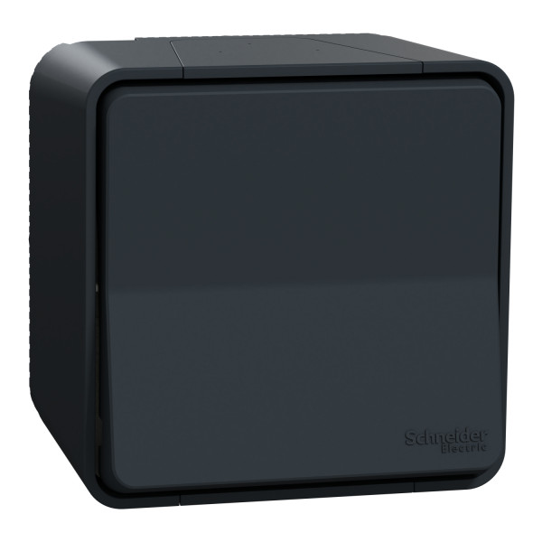 Interrupteur Va-et-vient gris Schneider Mureva Styl en saillie connexion automatique IP55 IK08