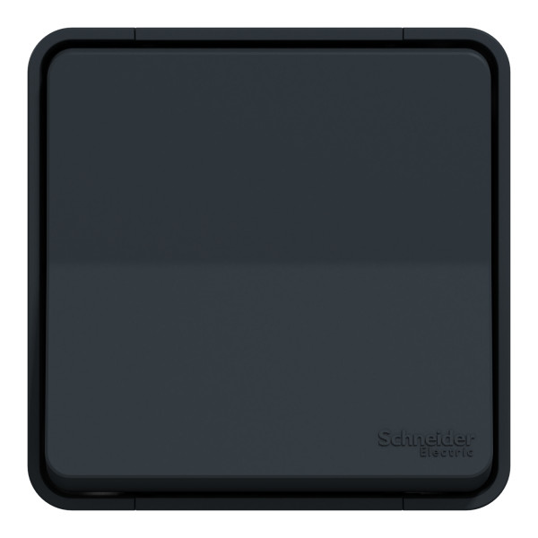 Interrupteur Va-et-vient gris Schneider Mureva Styl en saillie connexion automatique IP55 IK08