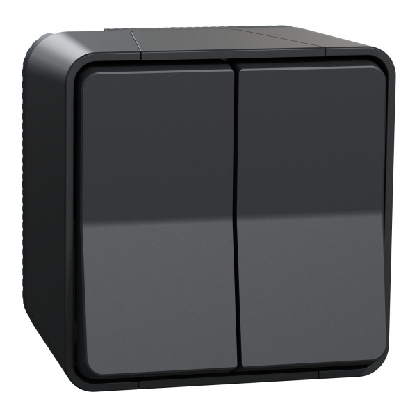 Double Va-et-Vient Gris Mureva Styl Schneider Electric – En Saillie – IP55 - IK08 - Connexion Automatique