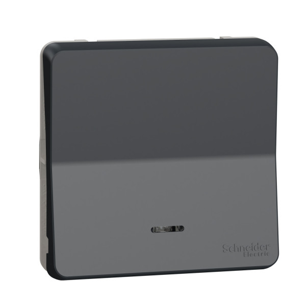 Va-et-vient lumineux gris Schneider Mureva Styl connexion automatique IP55 IK08