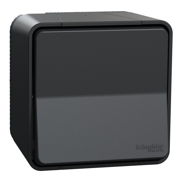 Poussoir gris Schneider Mureva Styl en saillie connexion automatique IP55 IK08
