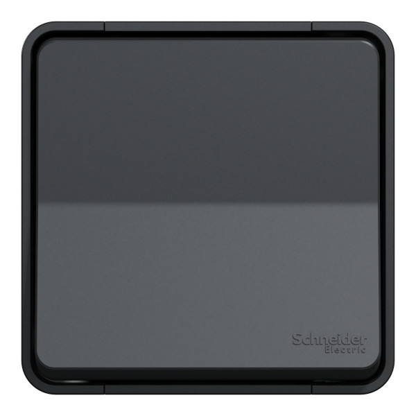 Poussoir gris Schneider Mureva Styl en saillie connexion automatique IP55 IK08