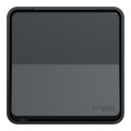 Poussoir gris Schneider Mureva Styl en saillie connexion automatique IP55 IK08