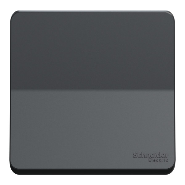 Poussoir gris Schneider Mureva Styl connexion automatique IP55 IK08