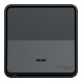 Bouton Poussoir Gris avec Voyant Lumineux LED Mureva Styl Schneider Electric - Connexion Automatique