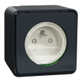 Prise de courant 2P+T grise Schneider Mureva Styl en saillie connexion automatique IP55 IK09