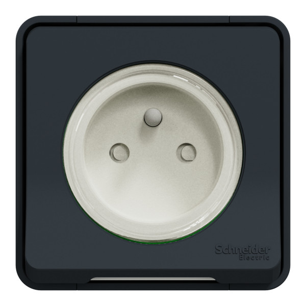 Prise de courant 2P+T grise Schneider Mureva Styl en saillie connexion automatique IP55 IK09