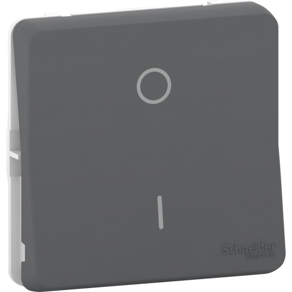 Interrupteur Bipolaire Gris Composable IP55 IK08 Mureva Styl Schneider – Connexion Automatique