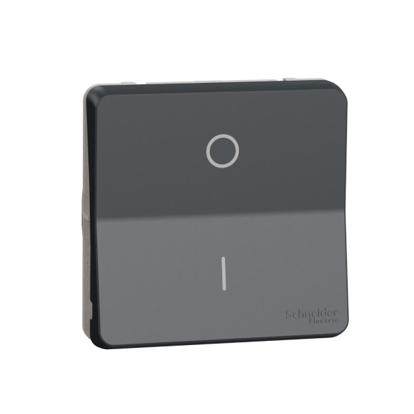 Interrupteur Bipolaire Gris Composable IP55 IK08 Mureva Styl Schneider – Connexion Automatique