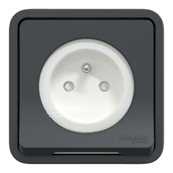 Prise de courant 2P+T grise Schneider Mureva Styl à encastrer connexion automatique IP55 IK08