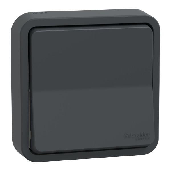Va-et-vient gris Schneider Mureva Styl à encastrer connexion automatique IP55 IK08
