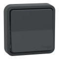 Va-et-vient gris Schneider Mureva Styl à encastrer connexion automatique IP55 IK08