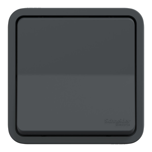 Va-et-vient gris Schneider Mureva Styl à encastrer connexion automatique IP55 IK08
