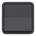 Va-et-vient gris Schneider Mureva Styl à encastrer connexion automatique IP55 IK08
