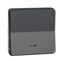 Poussoir lumineux gris Schneider Mureva Styl IP55 IK08