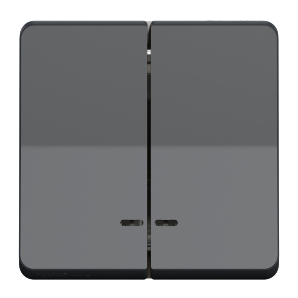 Double Bouton-Poussoir Gris Lumineux LED Mureva Styl Schneider – Composable