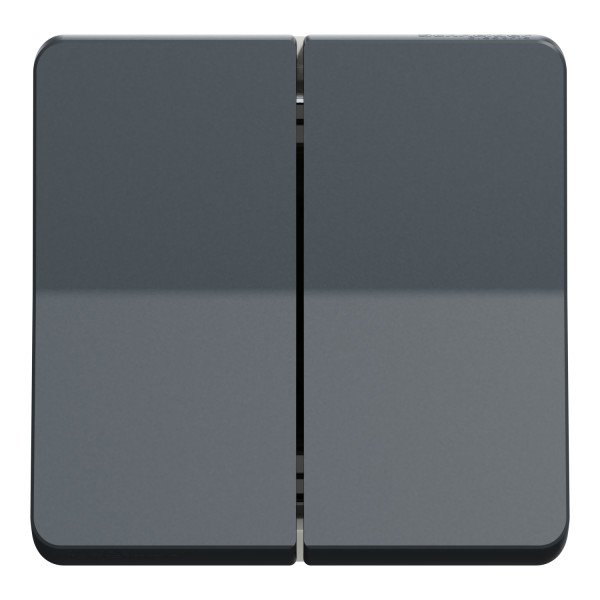 double bouton poussoir Schneider Mureva styl - composable - ip55 - ik07 - gris