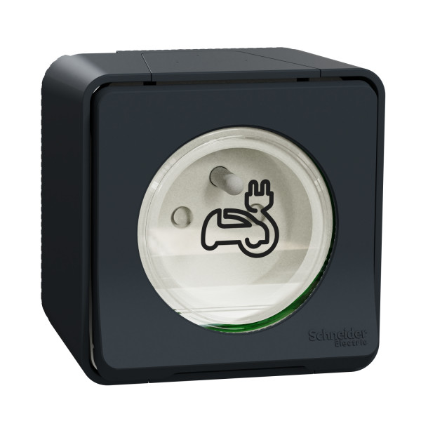 Prise courant 2P+T renforcée Schneider Mureva Styl IP55 IK08 EV en saillie gris