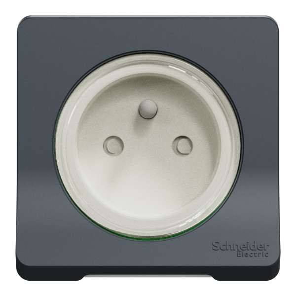 Prise de courant 2P+T grise Schneider Mureva Styl connexion automatique IP55 IK08