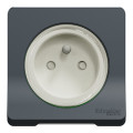 Prise de courant 2P+T grise Schneider Mureva Styl connexion automatique IP55 IK08
