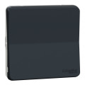 Interrupteur Va-et-vient gris Schneider Mureva Styl connexion automatique IP55 IK08