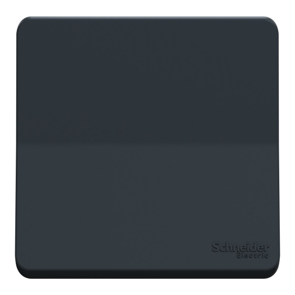 Interrupteur Va-et-vient gris Schneider Mureva Styl connexion automatique IP55 IK08