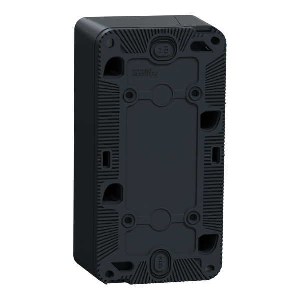 Cadre saillie 2 postes Schneider Mureva Styl gris verticaux IP55 IK08