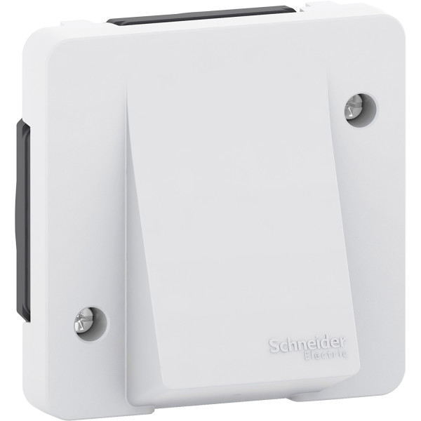 Sortie de câble blanc Schneider Mureva Styl connexion automatique IP55 IK08
