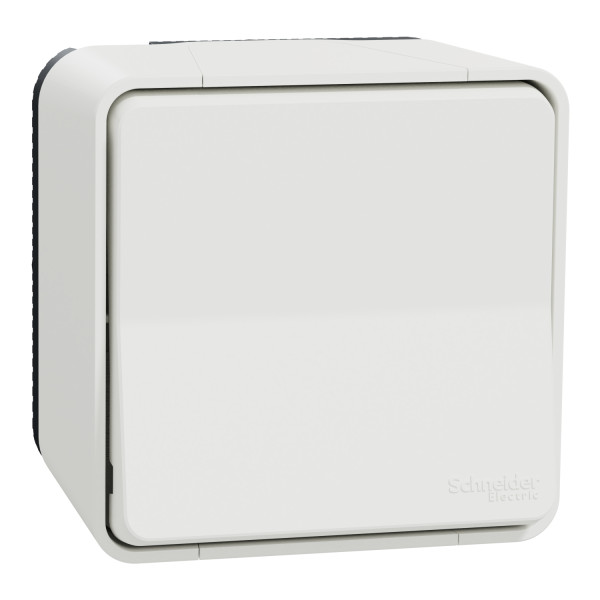 Interrupteur Va-et-vient blanc Schneider Mureva Styl en saillie connexion automatique IP55 IK08