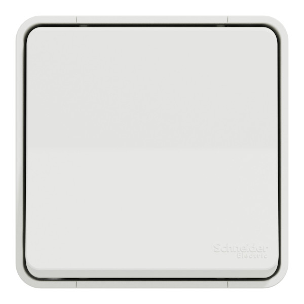 Interrupteur Va-et-vient blanc Schneider Mureva Styl en saillie connexion automatique IP55 IK08