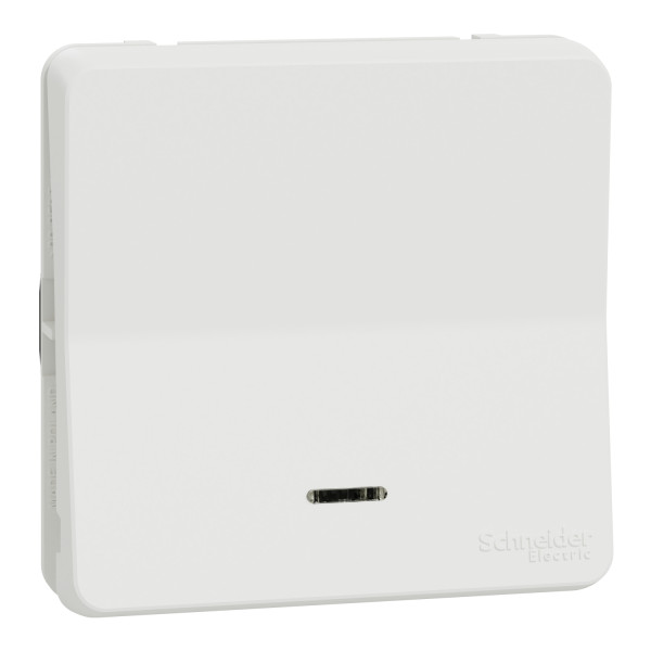 Va-et-vient lumineux blanc Schneider Mureva Styl IP55 IK08