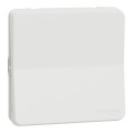 Poussoir blanc Schneider Mureva Styl connexion automatique IP55 IK08