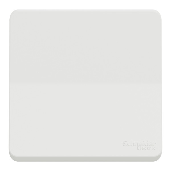 Poussoir blanc Schneider Mureva Styl connexion automatique IP55 IK08