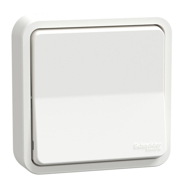 Va-et-vient blanc Schneider Mureva Styl à encastrer connexion automatique IP55 IK08