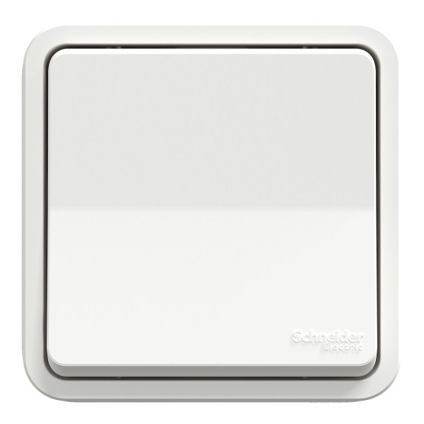 Va-et-vient blanc Schneider Mureva Styl à encastrer connexion automatique IP55 IK08