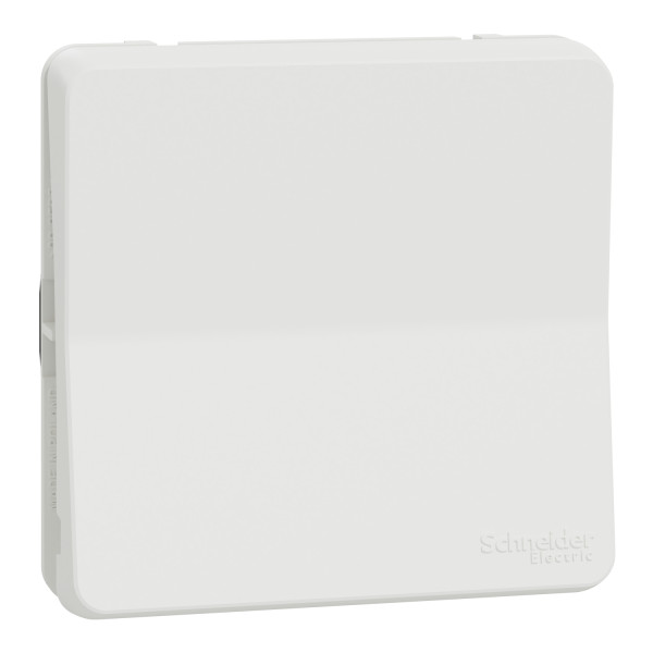 Interrupteur Va-et-vient blanc Schneider Mureva Styl connexion automatique IP55 IK09