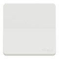 Interrupteur Va-et-vient blanc Schneider Mureva Styl connexion automatique IP55 IK09