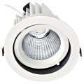 Randy 4 - downlight rond, orientable, blanc, 70°, led intég 38w 3000k 3900lm