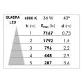 Kit quadra mono -downlight orient. gris, module led 34w 4000k 40° 3100lm incl