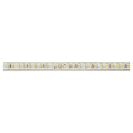 Lineled - ruban led protégé ip65 230v 180 led/m 120w 4000k 8000 lm, lg 10m