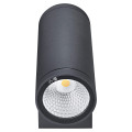 Applique murale extérieur LED AXO 50°2X10W 3000K IP55 Graphite - Aric