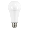 Lampe standard a67 led e27 19w 2700k 2452lm, cl.énerg.e, 15000h