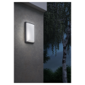 Applique murale extérieure Camille 2 graphite IP65 IK07 10W 3000K 375 lumens - Aric