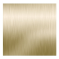 Module plein nexa inox 316 l gold